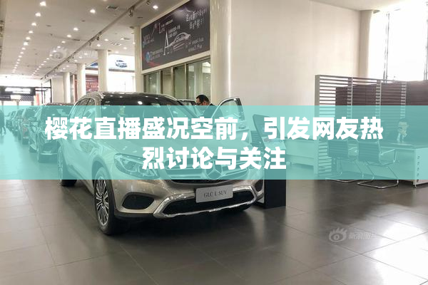 樱花直播盛况空前，引发网友热烈讨论与关注