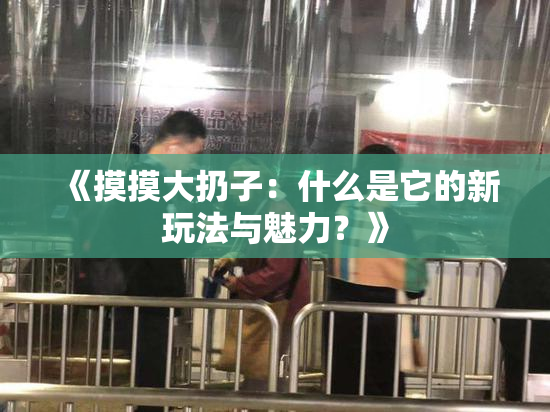 《摸摸大扔子：什么是它的新玩法与魅力？》