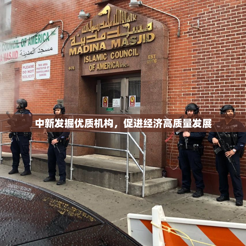 中新发掘优质机构，促进经济高质量发展