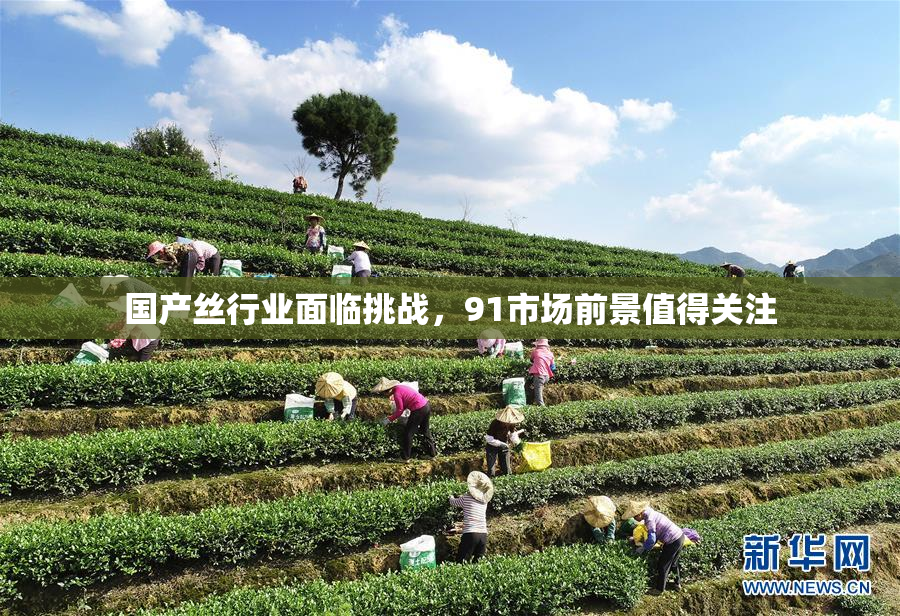 国产丝行业面临挑战，91市场前景值得关注