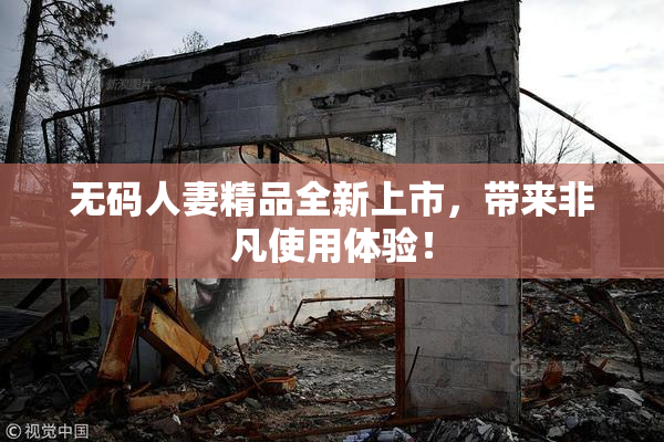 无码人妻精品全新上市，带来非凡使用体验！