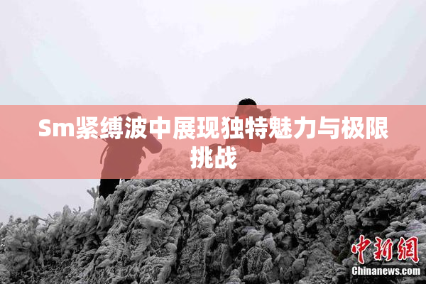Sm紧缚波中展现独特魅力与极限挑战