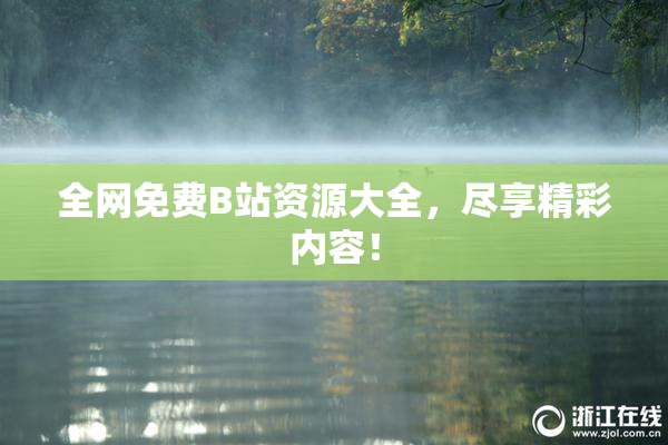全网免费B站资源大全，尽享精彩内容！
