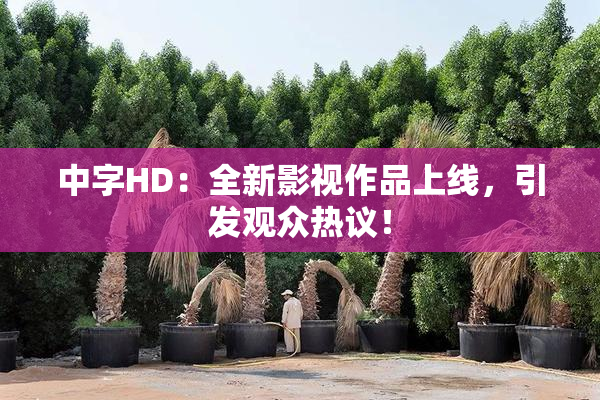 中字HD：全新影视作品上线，引发观众热议！