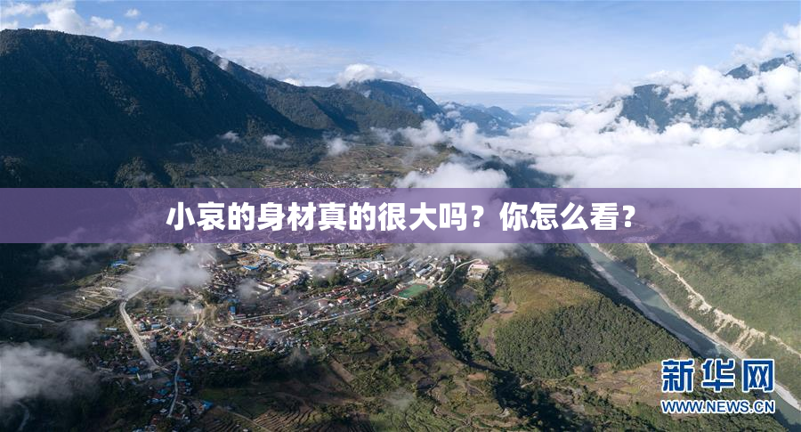 小哀的身材真的很大吗？你怎么看？