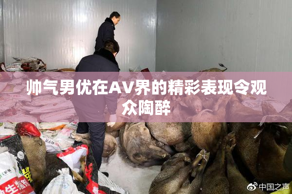 帅气男优在AV界的精彩表现令观众陶醉