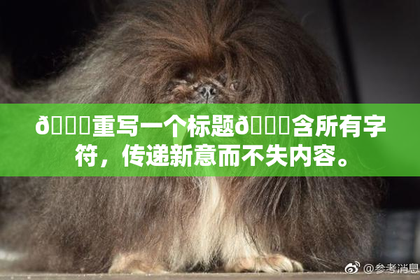 🔞重写一个标题🔞含所有字符，传递新意而不失内容。