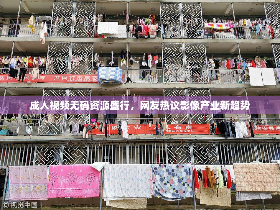 成人视频无码资源盛行，网友热议影像产业新趋势