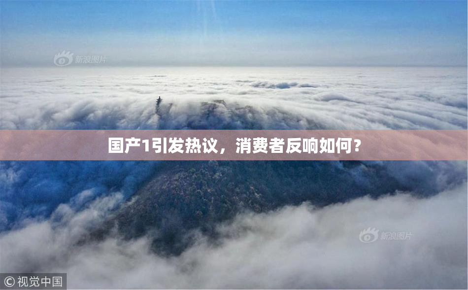 国产1引发热议，消费者反响如何？