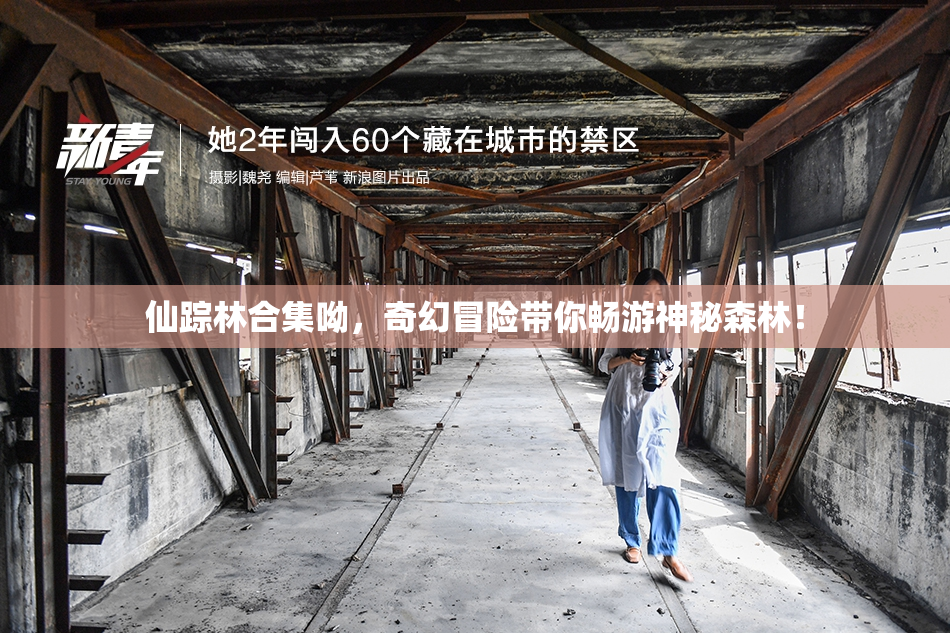 仙踪林合集呦，奇幻冒险带你畅游神秘森林！