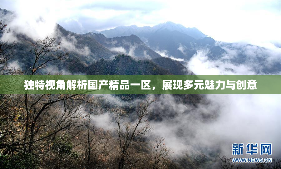独特视角解析国产精品一区，展现多元魅力与创意