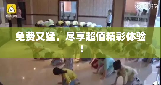 免费又猛，尽享超值精彩体验！