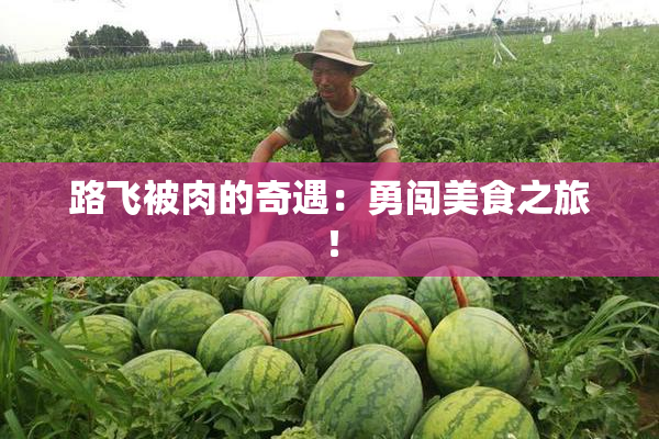 路飞被肉的奇遇：勇闯美食之旅！