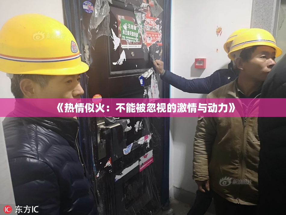 《热情似火：不能被忽视的激情与动力》
