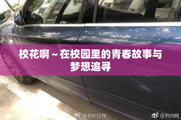 校花啊～在校园里的青春故事与梦想追寻