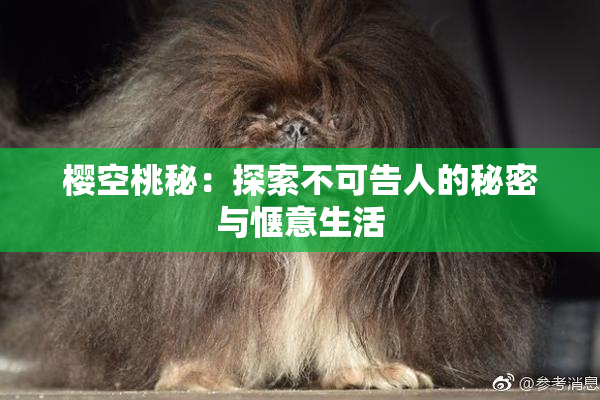 樱空桃秘：探索不可告人的秘密与惬意生活