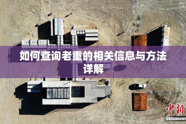如何查询老重的相关信息与方法详解