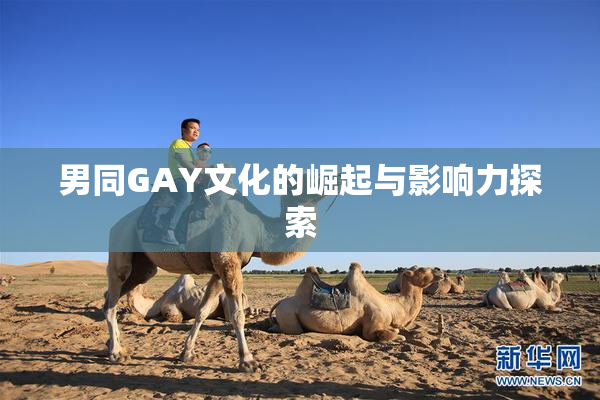 男同GAY文化的崛起与影响力探索