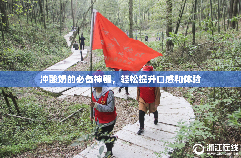 冲酸奶的必备神器，轻松提升口感和体验