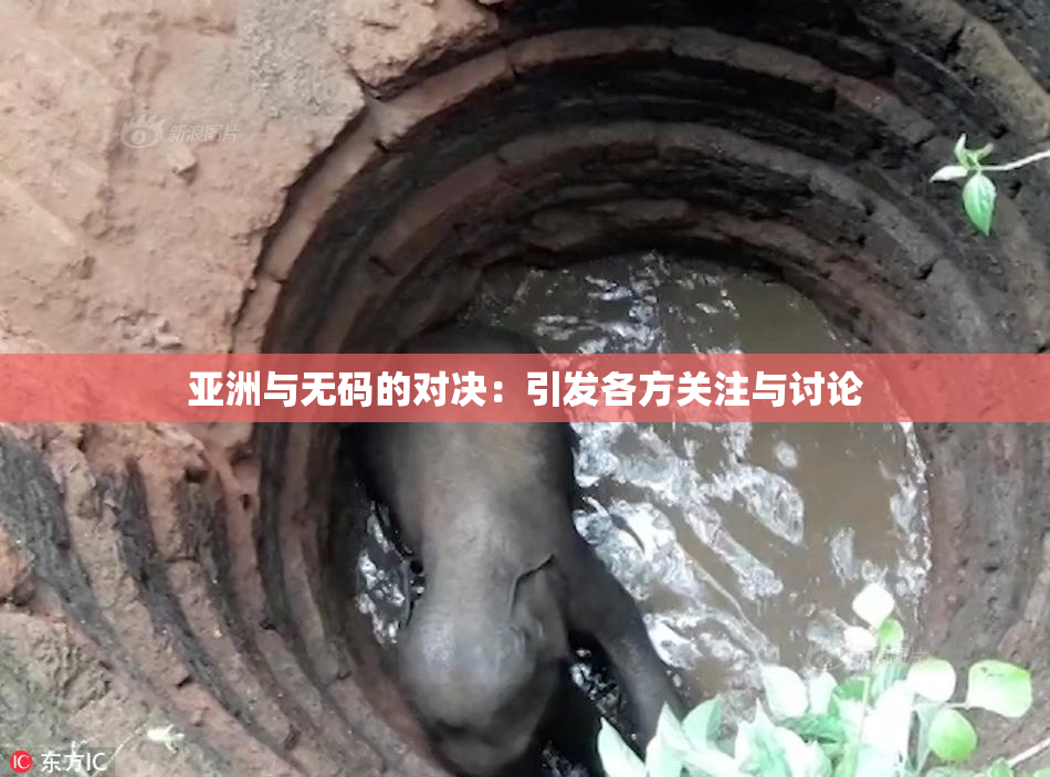 亚洲与无码的对决：引发各方关注与讨论