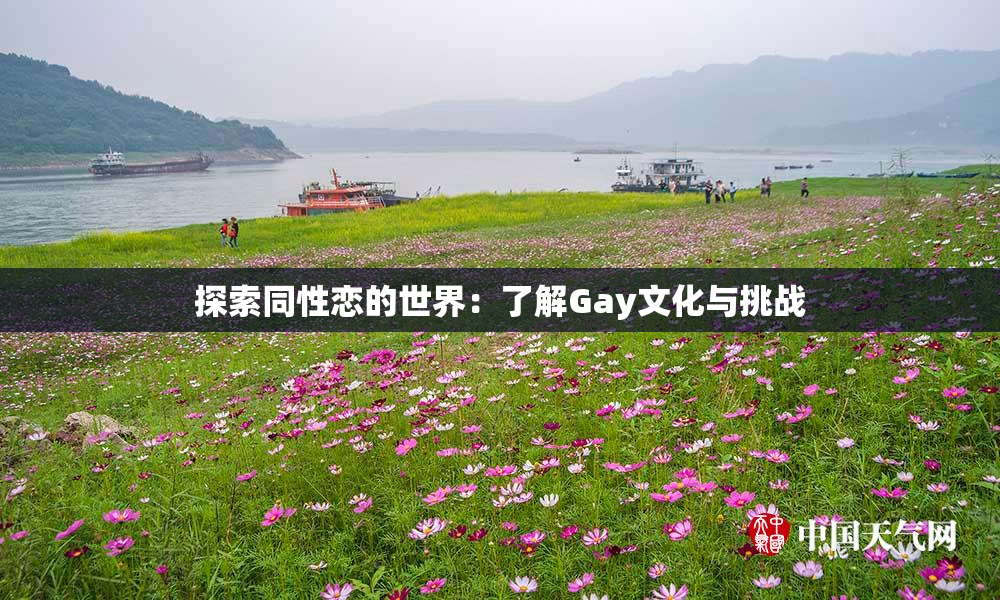 探索同性恋的世界：了解Gay文化与挑战