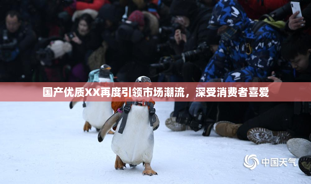 国产优质XX再度引领市场潮流，深受消费者喜爱
