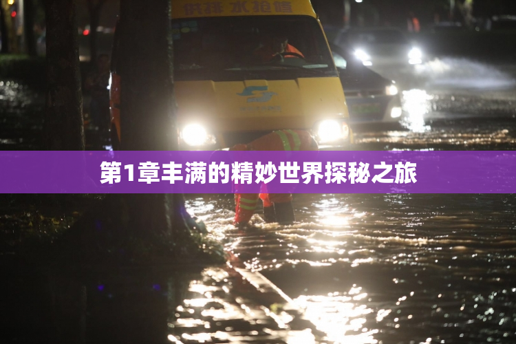 第1章丰满的精妙世界探秘之旅
