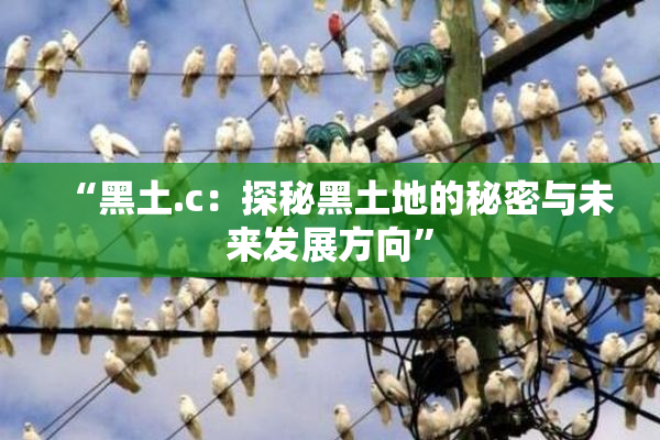 “黑土.c：探秘黑土地的秘密与未来发展方向”