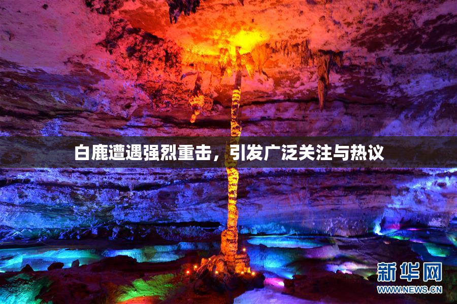 白鹿遭遇强烈重击，引发广泛关注与热议
