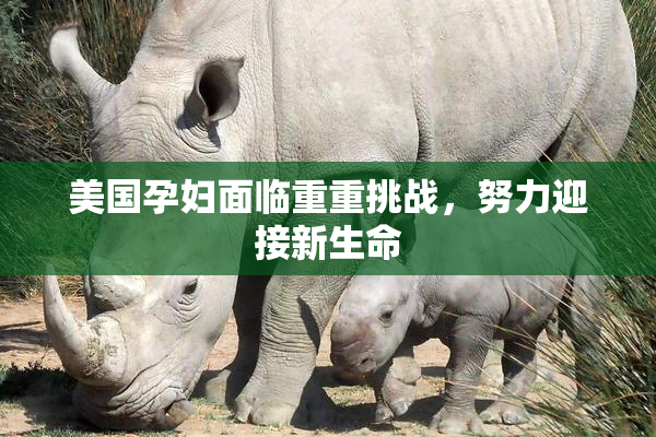 美国孕妇面临重重挑战，努力迎接新生命