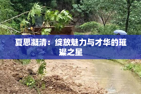 夏思凝清：绽放魅力与才华的璀璨之星