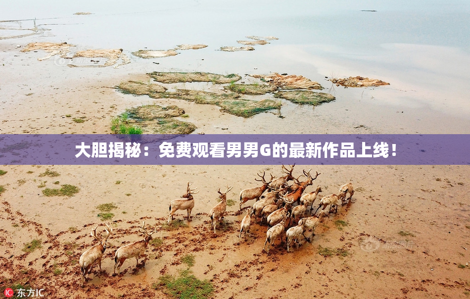 大胆揭秘：免费观看男男G的最新作品上线！