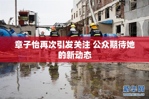 章子怡再次引发关注 公众期待她的新动态