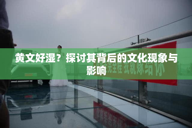 黄文好湿？探讨其背后的文化现象与影响