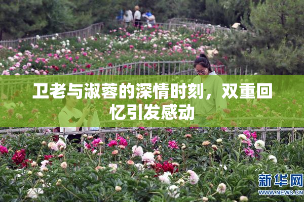 卫老与淑蓉的深情时刻，双重回忆引发感动