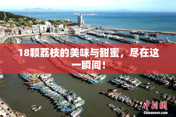 18颗荔枝的美味与甜蜜，尽在这一瞬间！