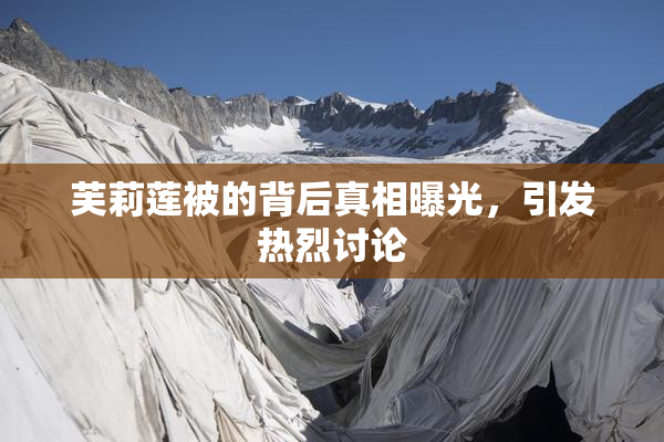 芙莉莲被的背后真相曝光，引发热烈讨论