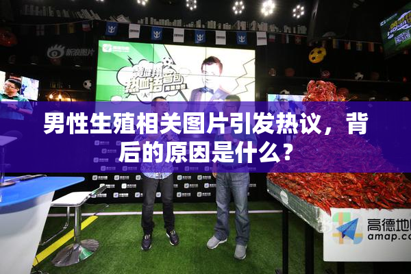 男性生殖相关图片引发热议，背后的原因是什么？