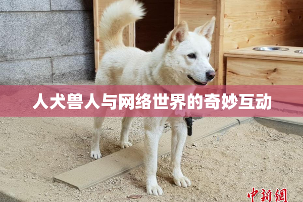人犬兽人与网络世界的奇妙互动