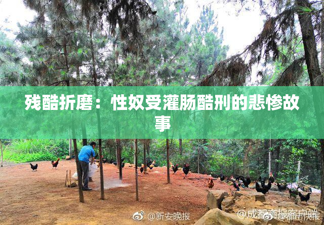 残酷折磨：性奴受灌肠酷刑的悲惨故事