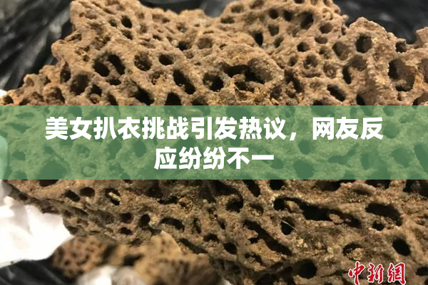 美女扒衣挑战引发热议，网友反应纷纷不一
