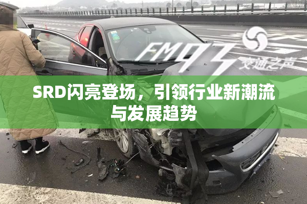 SRD闪亮登场，引领行业新潮流与发展趋势