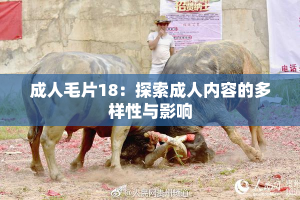 成人毛片18：探索成人内容的多样性与影响