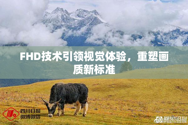 FHD技术引领视觉体验，重塑画质新标准