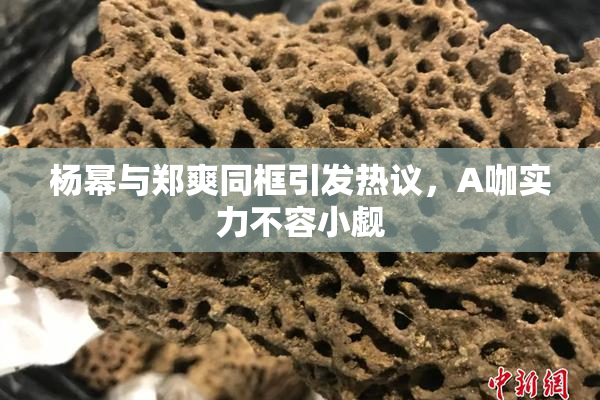 杨幂与郑爽同框引发热议，A咖实力不容小觑