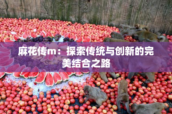 麻花传m：探索传统与创新的完美结合之路