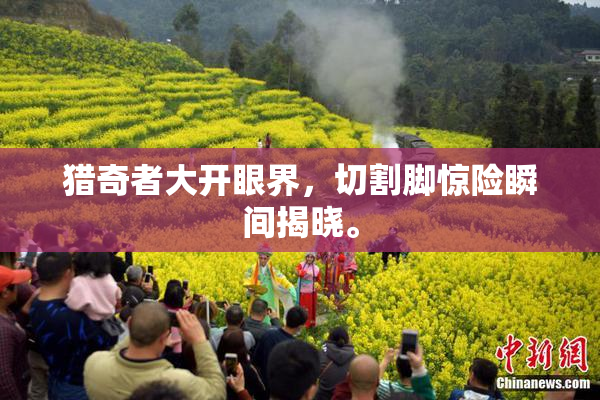 猎奇者大开眼界，切割脚惊险瞬间揭晓。
