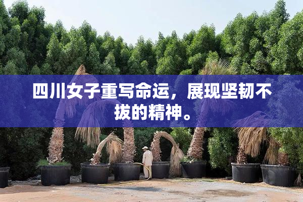 四川女子重写命运，展现坚韧不拔的精神。