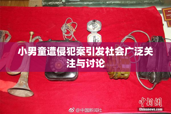 小男童遭侵犯案引发社会广泛关注与讨论