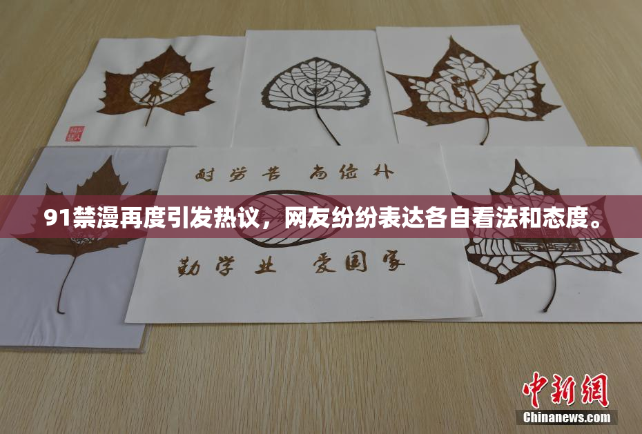 91禁漫再度引发热议，网友纷纷表达各自看法和态度。